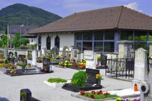 POKOPALIŠČE ŽIČE (3)